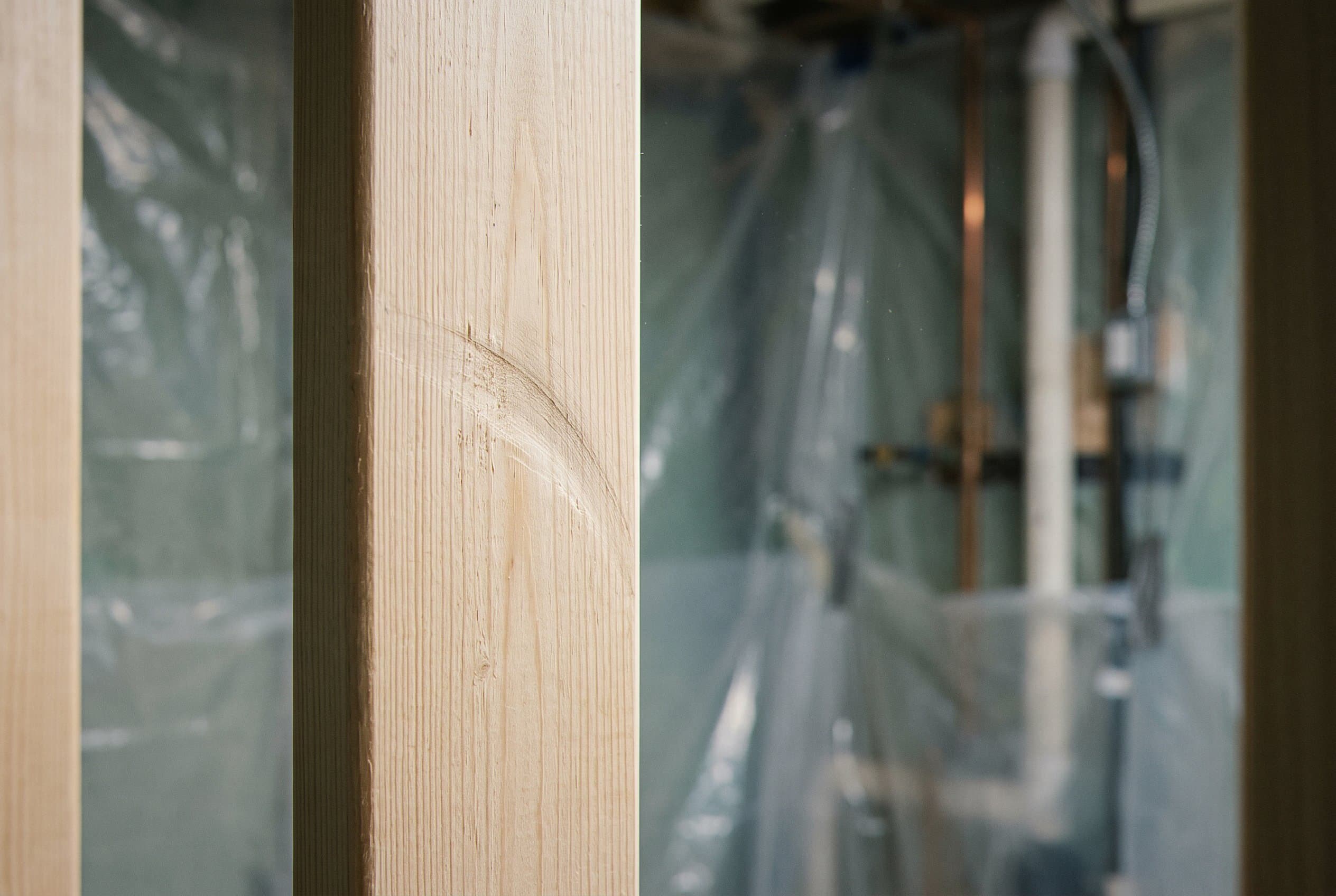 Close-up of active mold colonization on damp surface