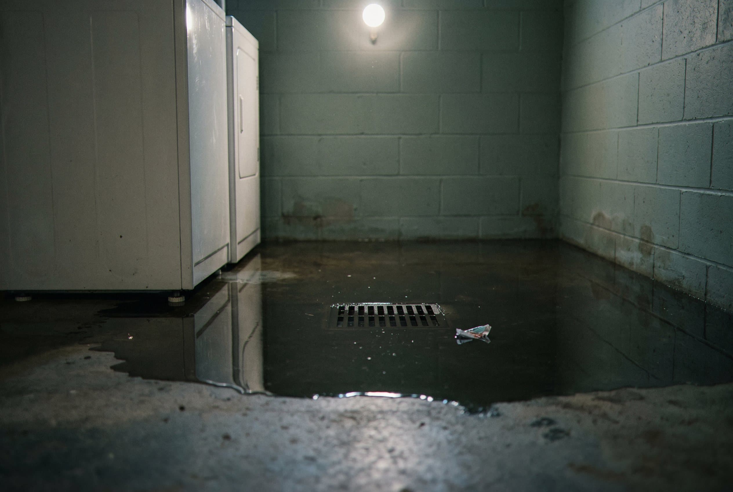 Floor drain backup with sewage water and waste