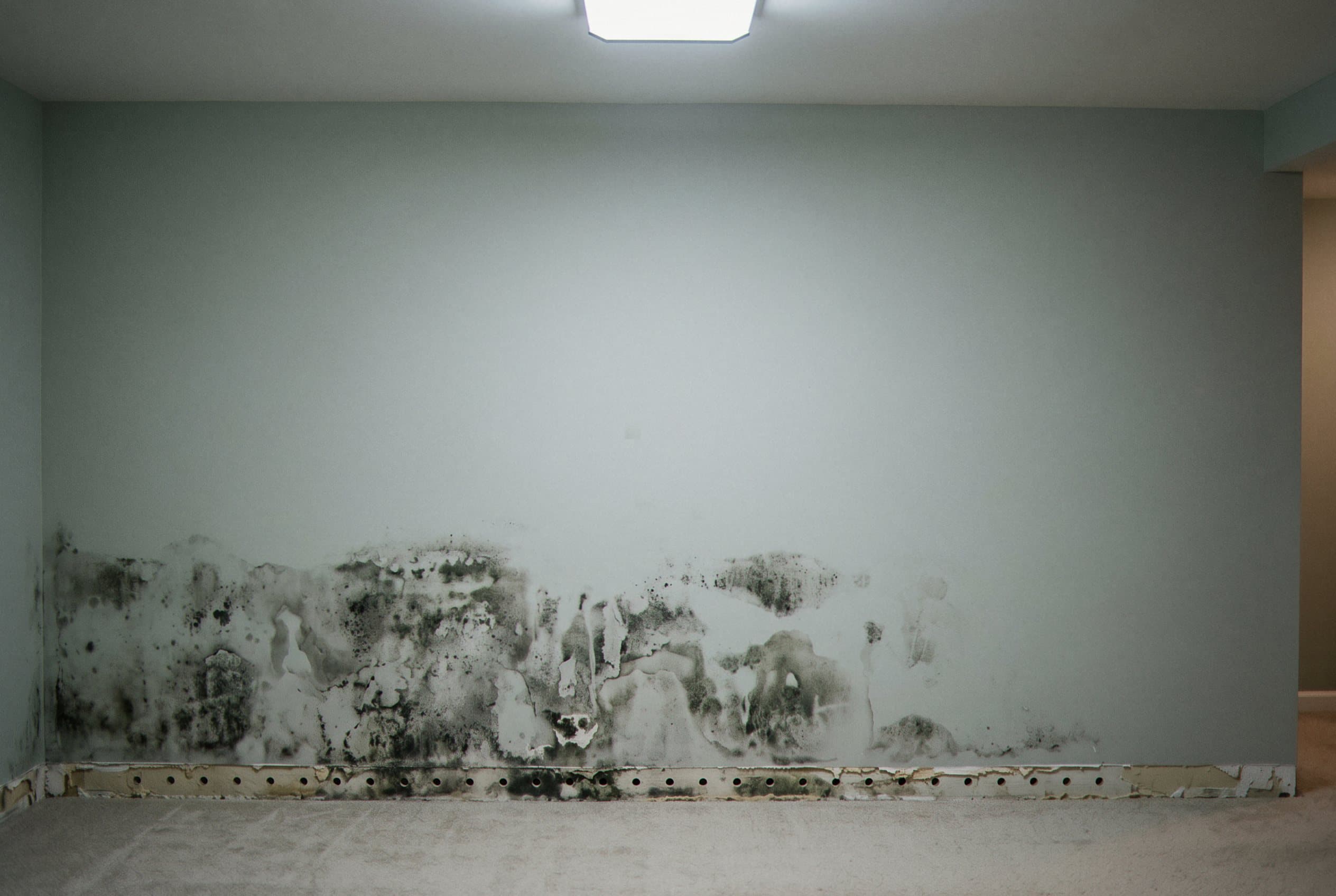 Damp basement wall showing water absorption damage