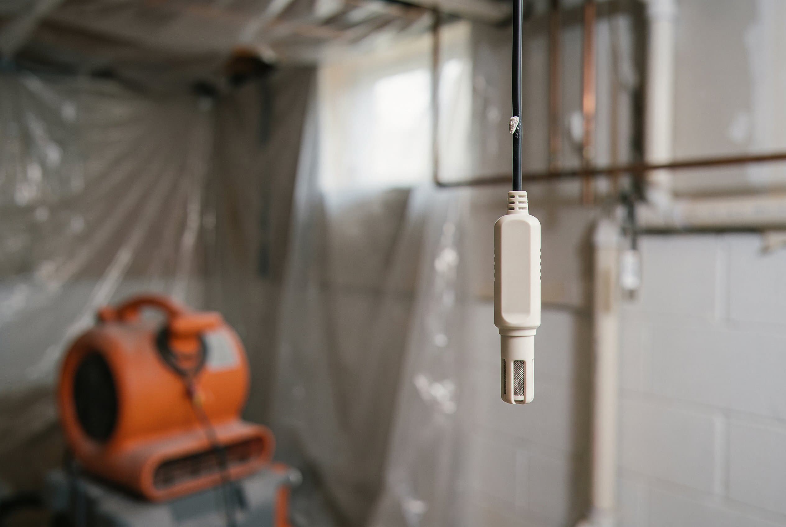 Close-up of moisture meter reading on damp wall